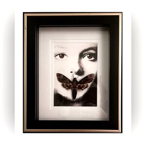 Oddity Silence of the Lambs Taxidermy Death Moth Hand-Mounted/Made Wall Decor